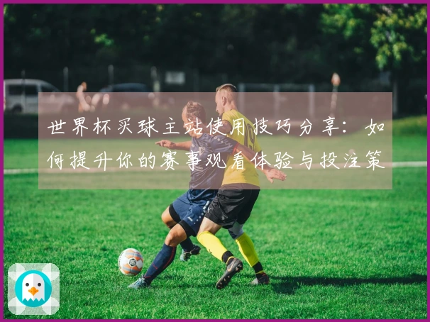 世界杯买球主站使用技巧分享：如何提升你的赛事观看体验与投注策略