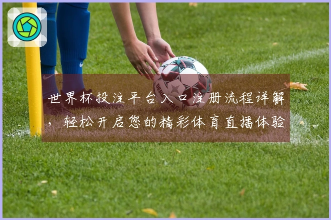 世界杯投注平台入口注册流程详解，轻松开启您的精彩体育直播体验