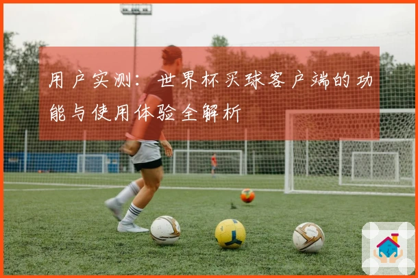 用户实测：世界杯买球客户端的功能与使用体验全解析