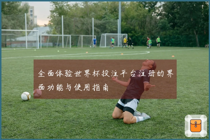 全面体验世界杯投注平台注册的界面功能与使用指南
