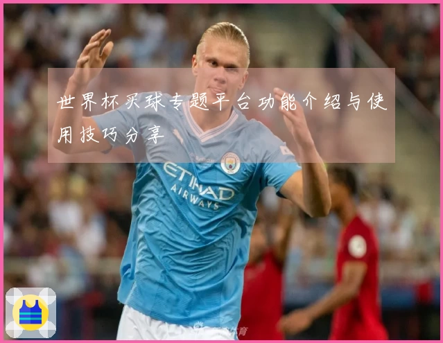 世界杯买球专题平台功能介绍与使用技巧分享