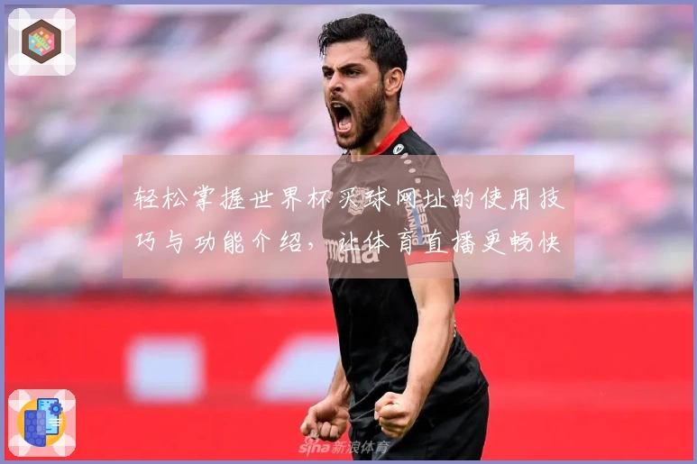 轻松掌握世界杯买球网址的使用技巧与功能介绍，让体育直播更畅快