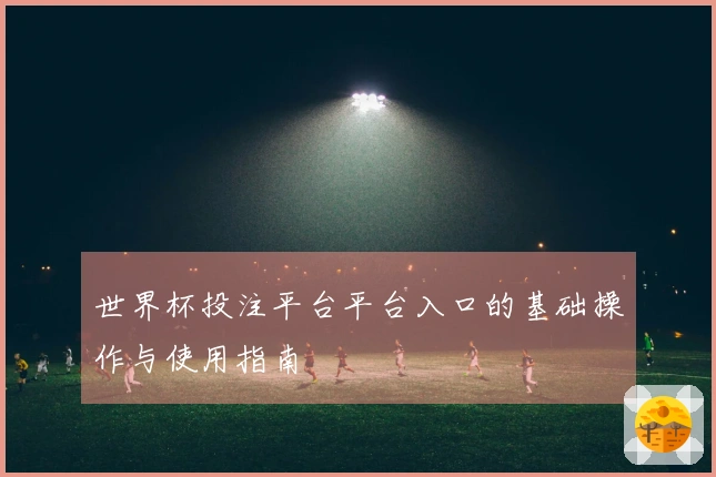 世界杯投注平台平台入口的基础操作与使用指南
