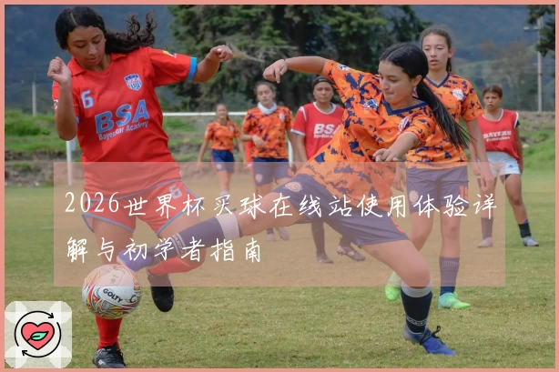 2026世界杯买球在线站使用体验详解与初学者指南