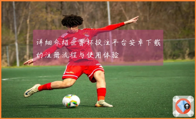 详细介绍世界杯投注平台安卓下载的注册流程与使用体验