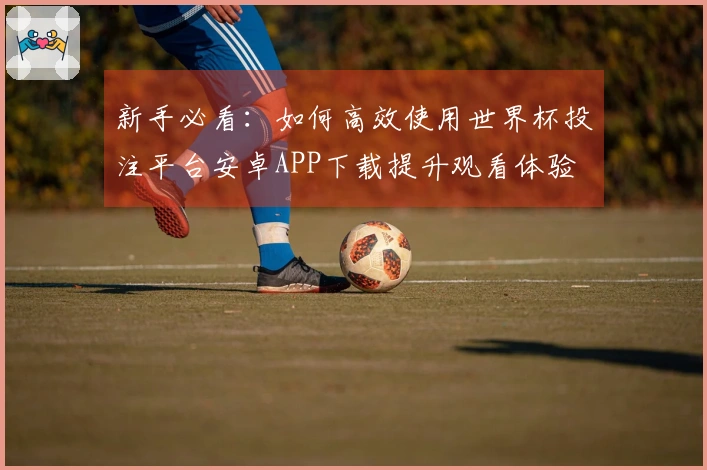新手必看：如何高效使用世界杯投注平台安卓APP下载提升观看体验