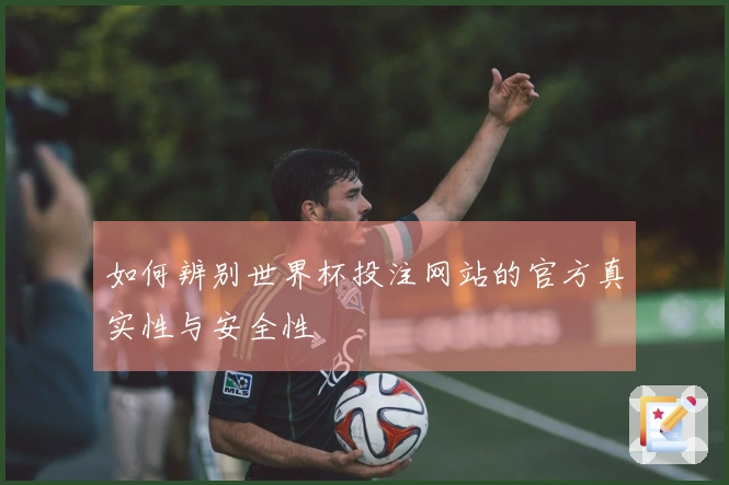 如何辨别世界杯投注网站的官方真实性与安全性