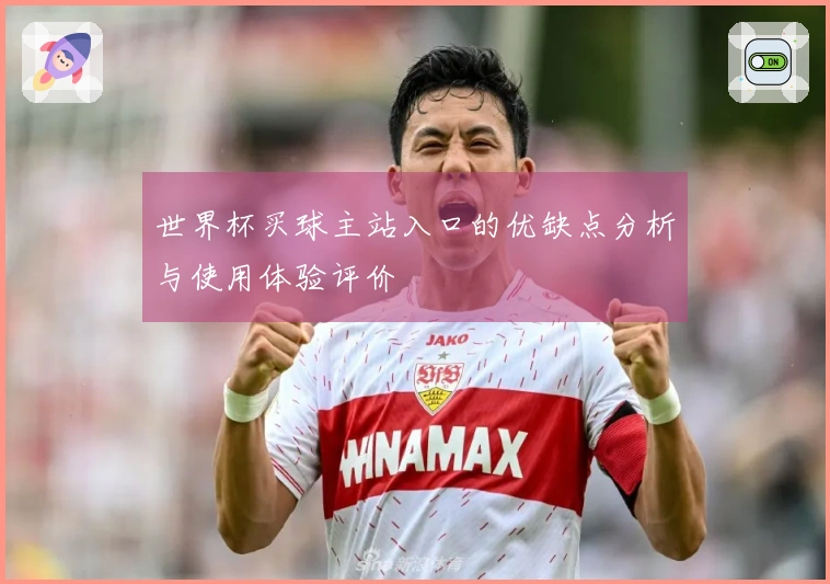 世界杯买球主站入口的优缺点分析与使用体验评价