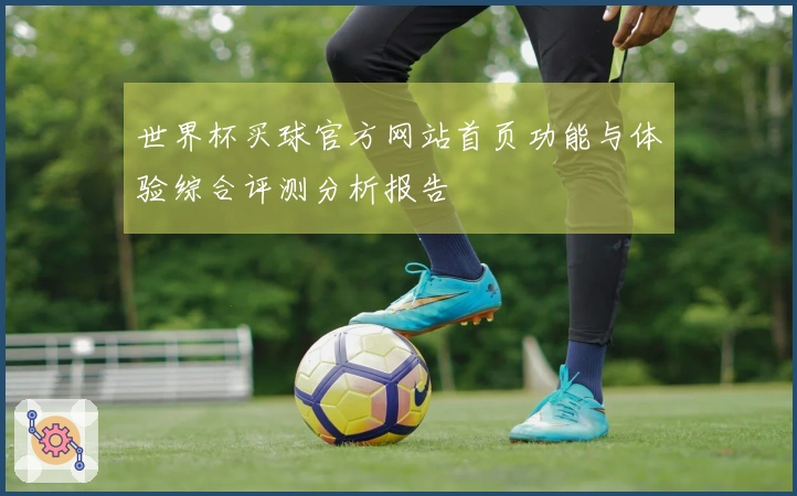 世界杯买球官方网站首页功能与体验综合评测分析报告