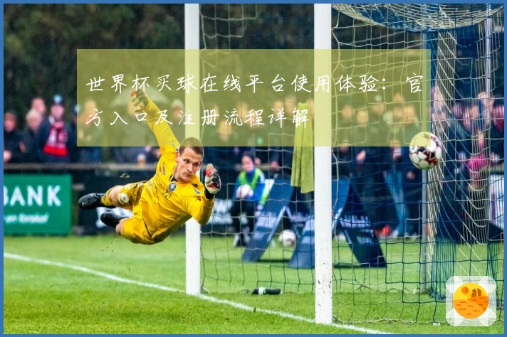 世界杯买球在线平台使用体验：官方入口及注册流程详解