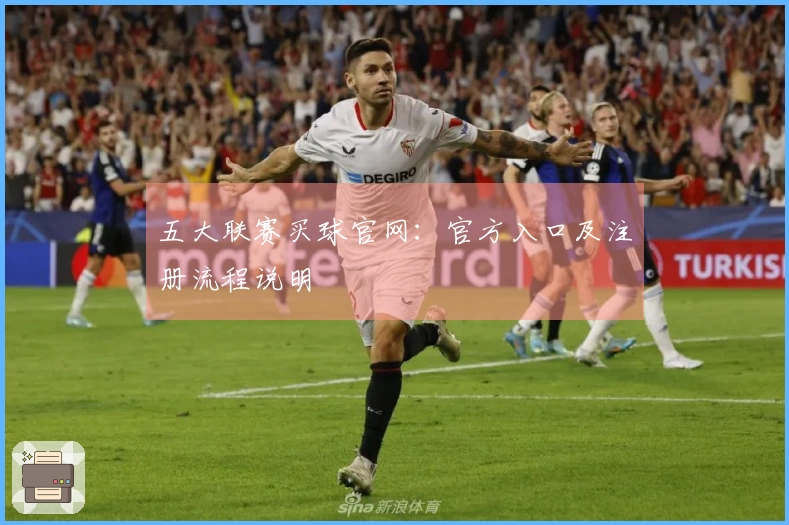 五大联赛买球官网:官方入口及注册流程说明
