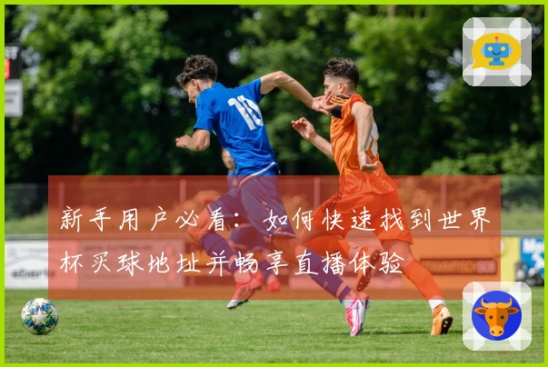 新手用户必看：如何快速找到世界杯买球地址并畅享直播体验