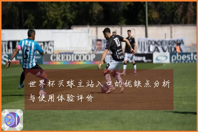世界杯买球主站入口的优缺点分析与使用体验评价