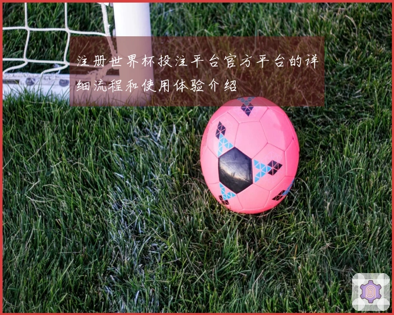 注册世界杯投注平台官方平台的详细流程和使用体验介绍