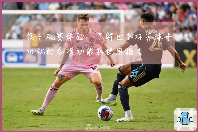 提升观赛体验，了解世界杯买球手机端的各项功能和使用指南