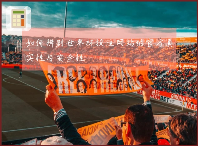 如何辨别世界杯投注网站的官方真实性与安全性