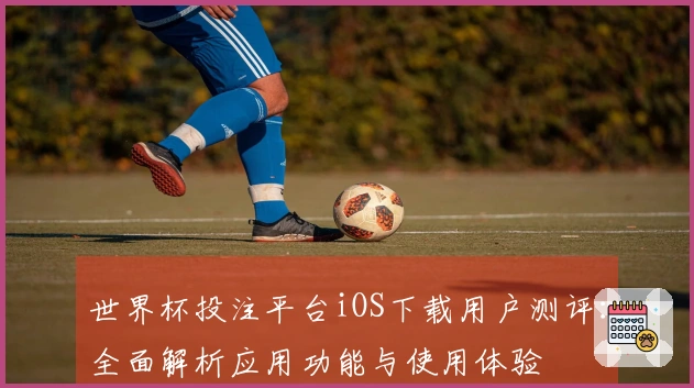 世界杯投注平台iOS下载用户测评：全面解析应用功能与使用体验