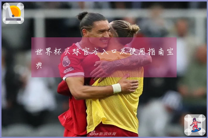 世界杯买球官方入口及使用指南宝典