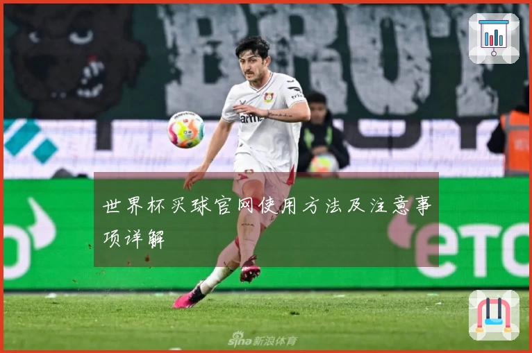世界杯买球官网使用方法及注意事项详解